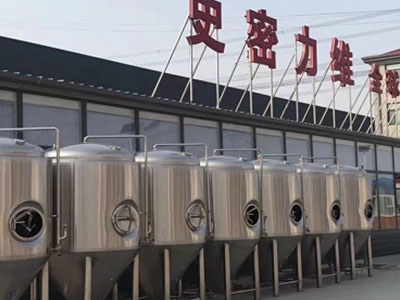 仙居精酿啤酒设备厂—如何判断精酿啤酒设备的密封件需要更换？